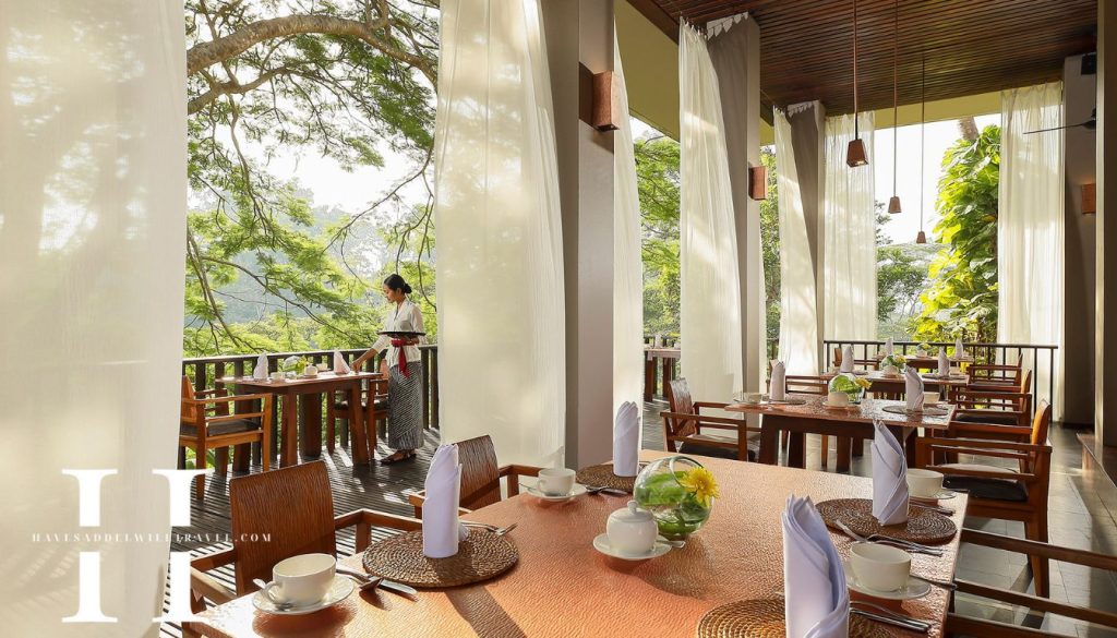 havesaddelwilltravel.com - Fasilitas Unggulan untuk Pengalaman Menginap Mewah