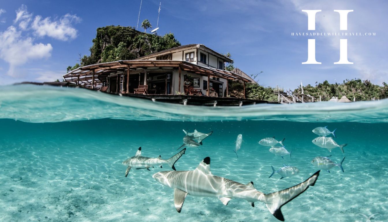havesaddelwilltravel.com - Misool Eco Resort Mewahnya Menginap di Surga Laut Raja Ampat