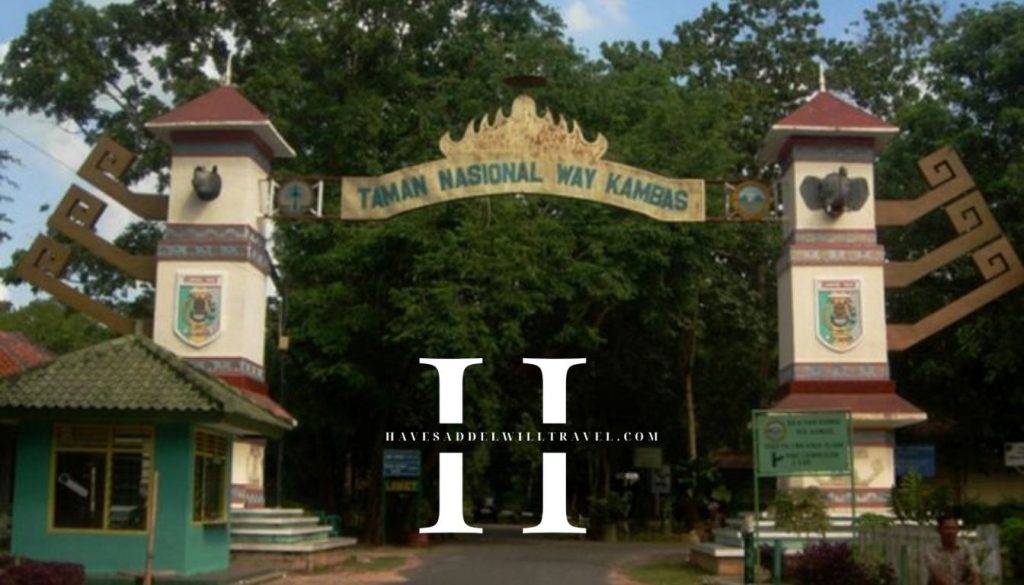 havesaddelwilltravel.com - Sejarah dan Perkembangan Way Kambas