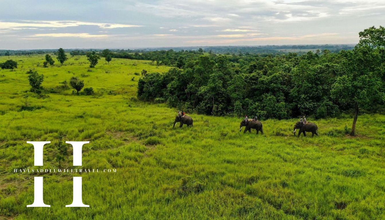 havesaddelwilltravel.com - Taman Nasional Way Kambas Satwa Langka di Ujung Lampung